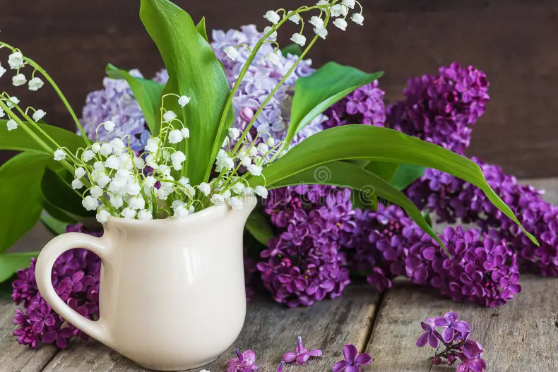 Lilac Organic Goat Milk Lotion