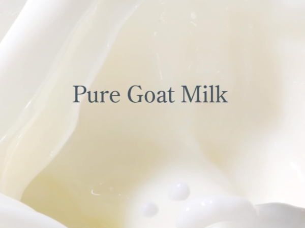 Goats Milk Bees Wax Lip Balm Peppermint Tea Tree