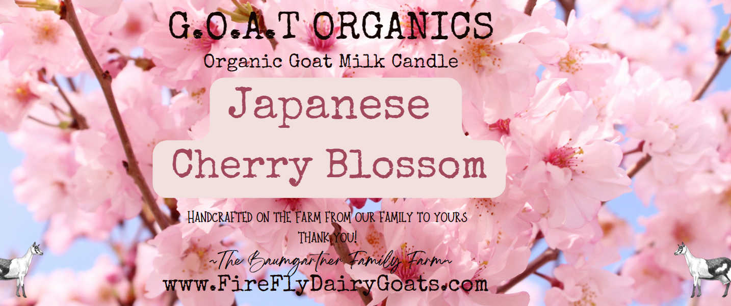 Japanese Cherry Blossom Soy Wax Goat Milk Candle
