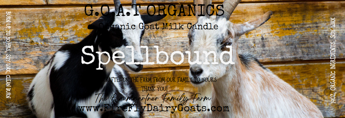 Spellbound Soy Wax Goat Milk Candles
